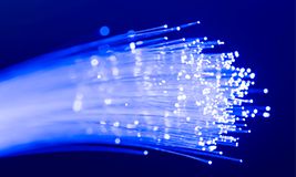 What Causes Damage To Fiber Optic Cables?